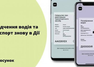 Водительские права и техпаспорт снова доступны в «Дії» 