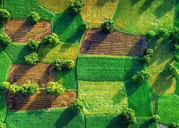 Все о земельных аукционах: Минцифры и «Прозорро.Продажи» запустили школу онлайн-аукционов