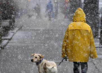 Завтра в Харькове - до 3 градусов тепла и мокрый снег