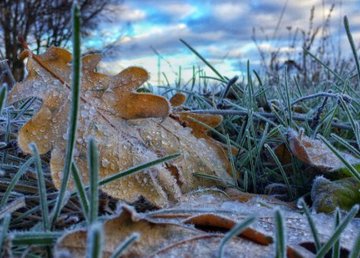 Завтра в Харькове - до 4 градусов тепла Завтра в Харькове - до 4 градусов тепла