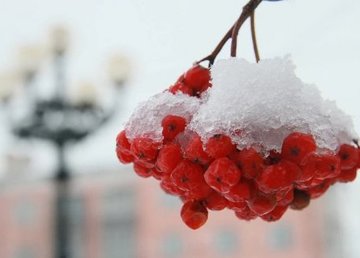 Завтра в Харькове - до 5 градусов мороза и небольшой снег Завтра в Харькове - до 5 градусов мороза и небольшой снег