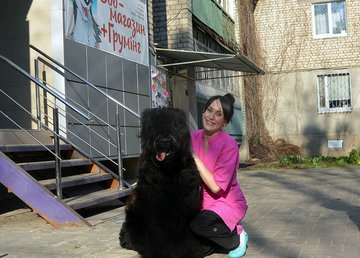 Груминг-салон «Балто» - фасад