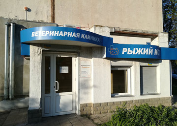 Ветеринарная клиника «Рыжий кот» - фасад Ветеринарная клиника «Рыжий кот» - фасад