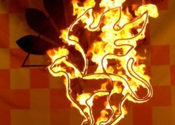 Огненное шоу «FireShow PANTERA» Огненное шоу «FireShow PANTERA»