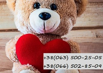 Прокат детских товаров "Мишка" в Харькове Прокат детских товаров "Мишка" в Харькове