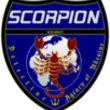 Детективно-юридическое агентство «Скорпион»