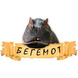 Аква-зоомагазин «Бегемот»