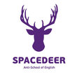 АнтиШкола Space Deer, курсы английского языка