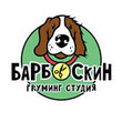 Барбоскин», груминг-салон