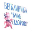 Будь здоров, ветеринарная клиника
