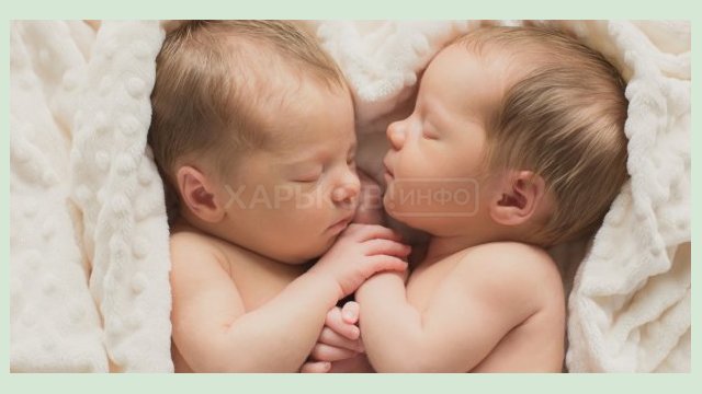 С 28 февраля по 1 марта в Харькове родилось три двойни С 28 февраля по 1 марта в Харькове родилось три двойни