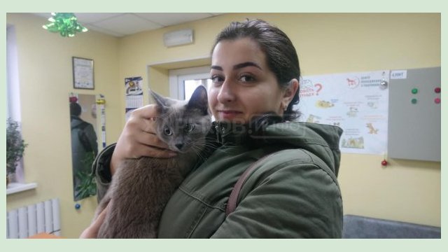В Центре обращения с животными нашли хозяев для 2 тысяч питомцев В Центре обращения с животными нашли хозяев для 2 тысяч питомцев