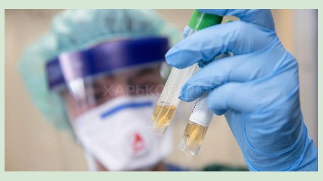 В Харькове зафиксировано около 2260 случаев заболевания коронавирусом В Харькове зафиксировано около 2260 случаев заболевания коронавирусом