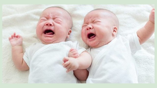 28 мая в Харькове родилось 39 детей 28 мая в Харькове родилось 39 детей