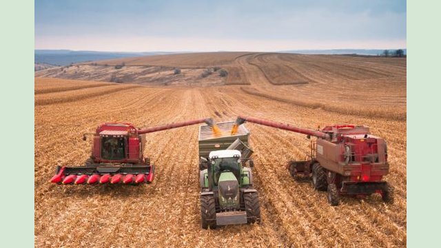 Аграрії Харківщини зібрали 1,2 мільйона тонн урожаю та сіють озимі