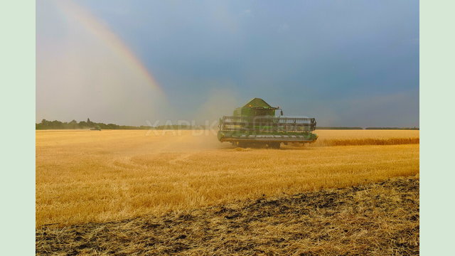 Аграрії Харківщини зібрали більш ніж 643 тисячі тонн зерна нового врожаю