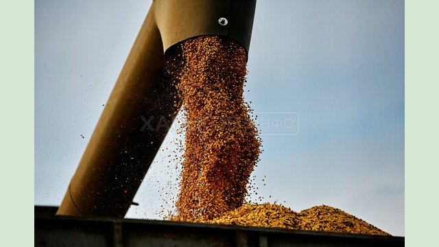Аграрії Харківської області зібрали 1,9 млн тонн зерна Аграрії Харківської області зібрали 1,9 млн тонн зерна