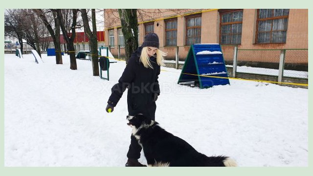 В приюте для животных ввели необычную должность В приюте для животных ввели необычную должность