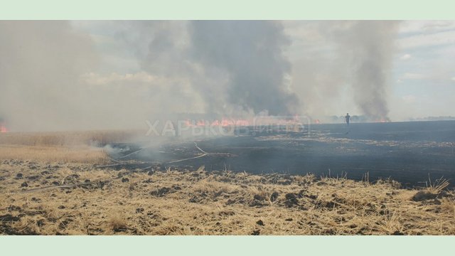 Балаклейский район: пожарными ликвидирован пожар на пшеничном поле