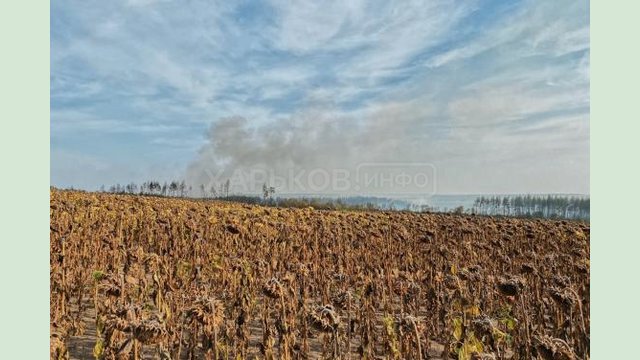 Более десятка агрофирм Двуречанского района помогают тушить пожар Более десятка агрофирм Двуречанского района помогают тушить пожар