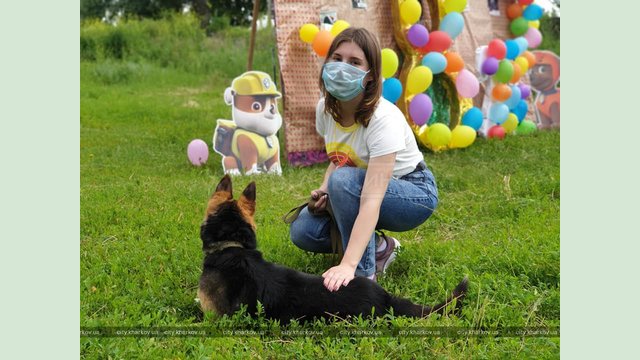Более семи тысяч обитателей харьковского приюта для животных нашли хозяев Более семи тысяч обитателей харьковского приюта для животных нашли хозяев