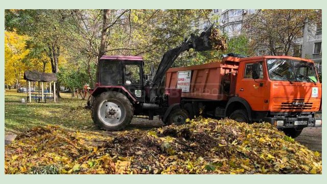 Бригады КВБО вывозят опавшие листья Бригады КВБО вывозят опавшие листья
