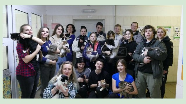 В харьковском приюте провели тренинг по общению с животными В харьковском приюте провели тренинг по общению с животными