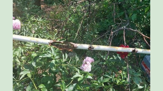 Газовики локализовали последствия вражеских обстрелов в Чугуеве Газовики локализовали последствия вражеских обстрелов в Чугуеве