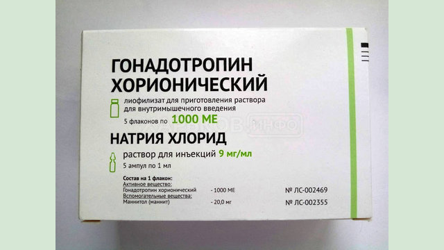 Гонадотропин - основа восстановления организма после приема ААС Гонадотропин - основа восстановления организма после приема ААС