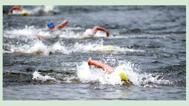 Харьковчане стали чемпионами Украины по плаванию на открытой воде Харьковчане стали чемпионами Украины по плаванию на открытой воде