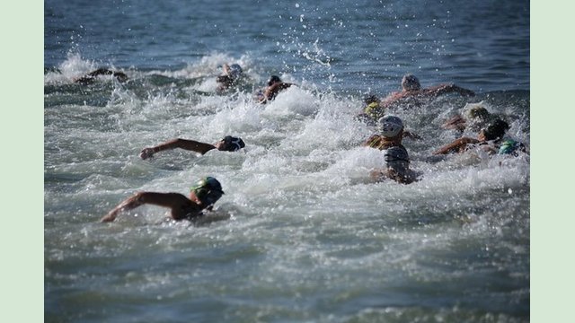 Харьковчане стали чемпионами Украины по плаванию на открытой воде Харьковчане стали чемпионами Украины по плаванию на открытой воде
