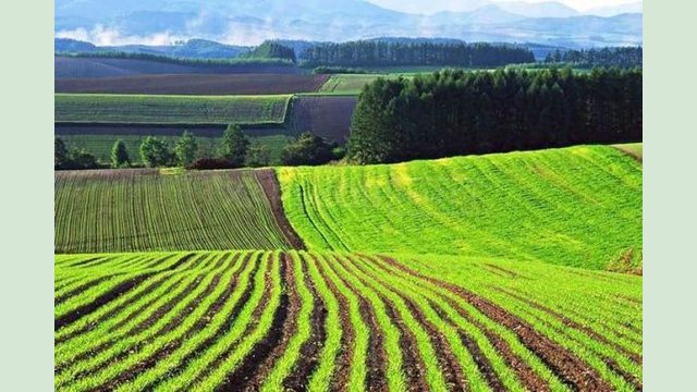 Харьковщина – в лидерах по заключению соглашений в рамках рынка земли Харьковщина – в лидерах по заключению соглашений в рамках рынка земли