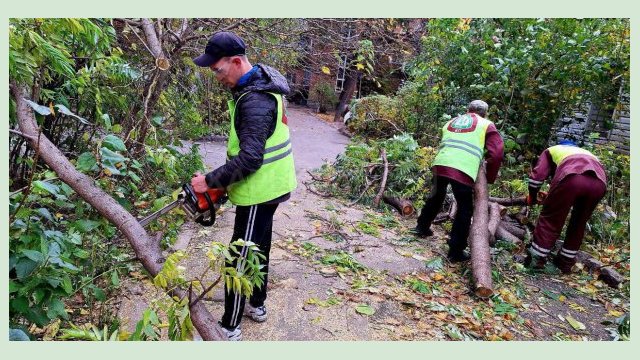 Харьковские коммунальщики вывозят упавшие деревья и ветки 