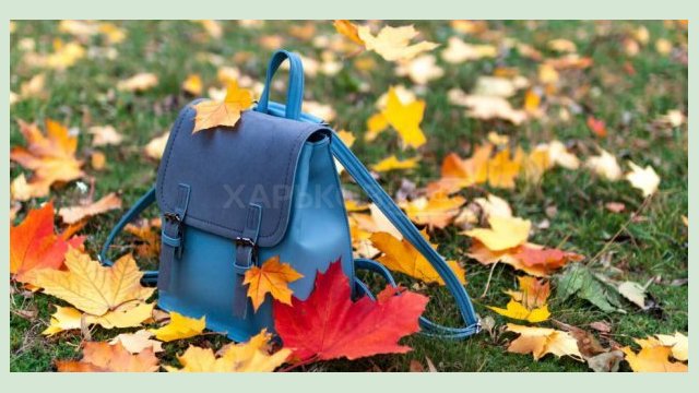 Харьковские школьники уходят на каникулы Харьковские школьники уходят на каникулы