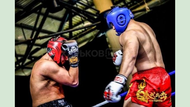 Харьковские спортсмены победили на чемпионате Украины по кикбоксингу Харьковские спортсмены победили на чемпионате Украины по кикбоксингу