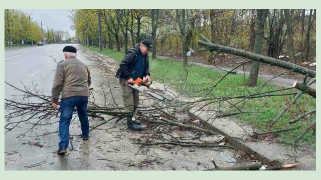 «Харьковзеленстрой» распиливает и вывозит поврежденные деревья «Харьковзеленстрой» распиливает и вывозит поврежденные деревья