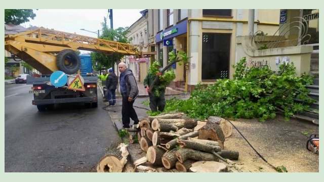 «Харьковзеленстрой» убирает поваленные деревья