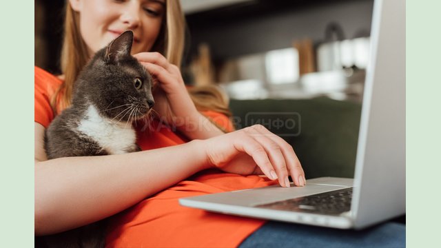 Интернет-провайдеры в Харькове: как выбрать? Интернет-провайдеры в Харькове: как выбрать?