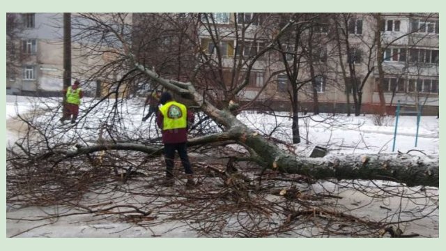 Коммунальщики борются с гололедицей и распиливают поваленные деревья Коммунальщики борются с гололедицей и распиливают поваленные деревья