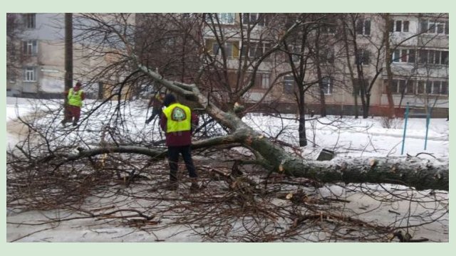 Коммунальщики борются с гололедицей и распиливают поваленные деревья