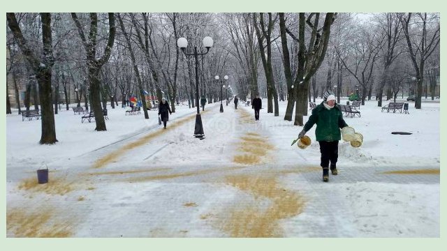 Коммунальщики устраняют последствия непогоды в Харькове