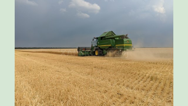 Майже за два тижні жнив аграрії намолотили понад 37 тисяч тонн зерна