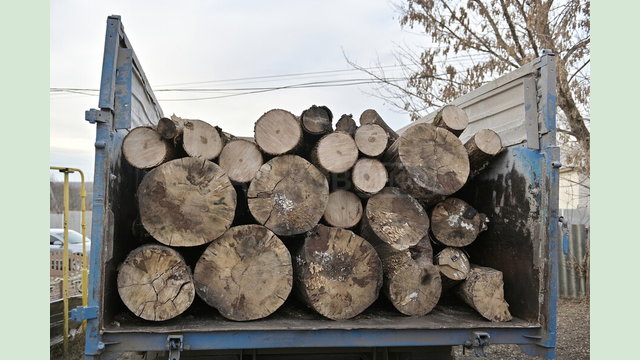Мешканцям Харківської області видають безкоштовні дрова Мешканцям Харківської області видають безкоштовні дрова