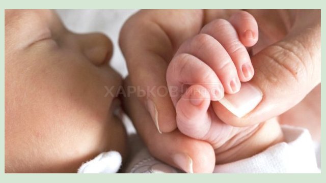 Молодежный совет продолжает оказывать адресную помощь маленьким харьковчанам Молодежный совет продолжает оказывать адресную помощь маленьким харьковчанам