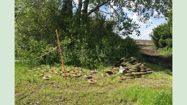 На Харківщині під час ремонту лінії електропередач сапери знешкодили рекордну кількість ворожих мін На Харківщині під час ремонту лінії електропередач сапери знешкодили рекордну кількість ворожих мін
