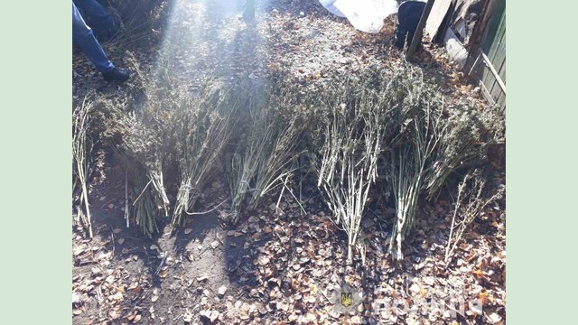 На Харьковщине полицейские изъяли у мужчины марихуану На Харьковщине полицейские изъяли у мужчины марихуану