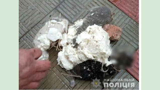 На Харьковщине полицейские разоблачили мужчину в жестоком обращении с животными На Харьковщине полицейские разоблачили мужчину в жестоком обращении с животными