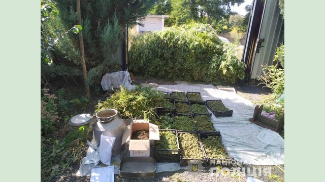 На Харьковщине работники полиции изъяли у крестьян около 40 кг наркозелья На Харьковщине работники полиции изъяли у крестьян около 40 кг наркозелья