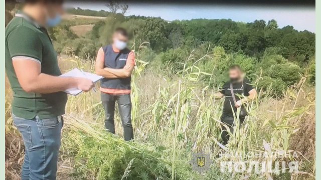 На Харьковщине следователи сообщили о подозрении мужчине, который выращивал наркорастения по месту жительства На Харьковщине следователи сообщили о подозрении мужчине, который выращивал наркорастения по месту жительства