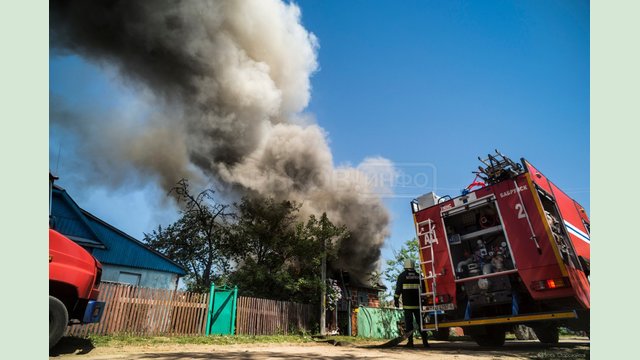 Новомосковский район: в результате пожара в частной хозяйственной постройке сгорело 50 свиней